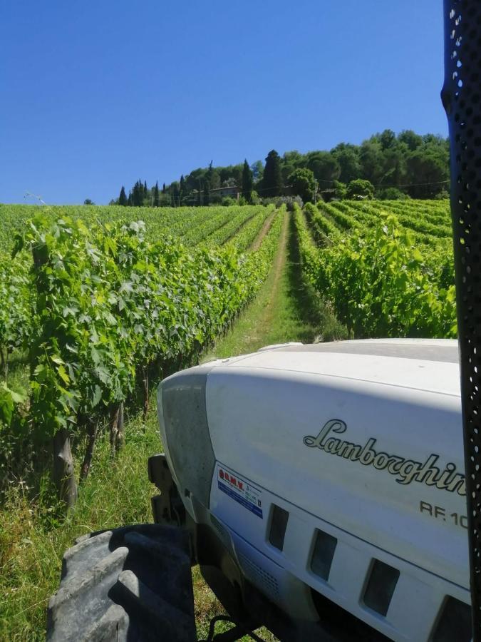Antico Borgo Di Sugame Villa Greve in Chianti Exterior photo