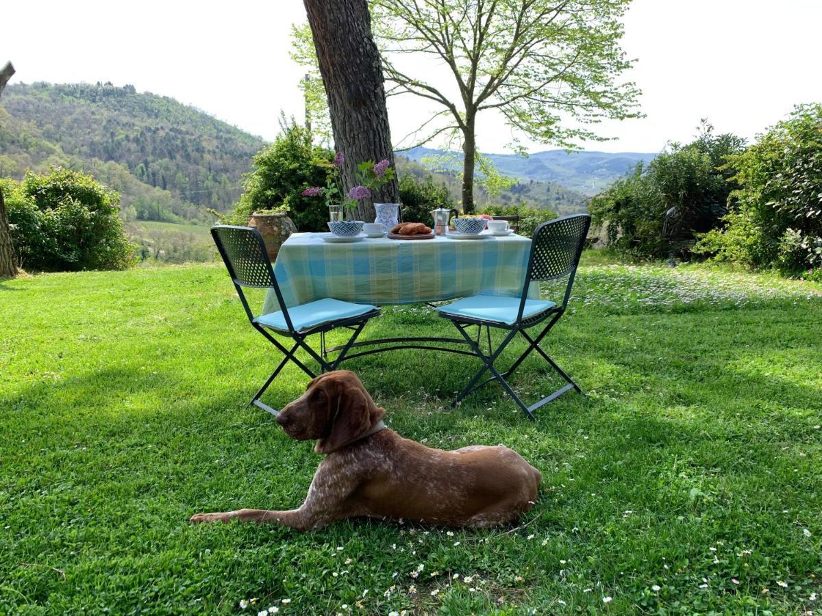 Antico Borgo Di Sugame Villa Greve in Chianti Exterior photo